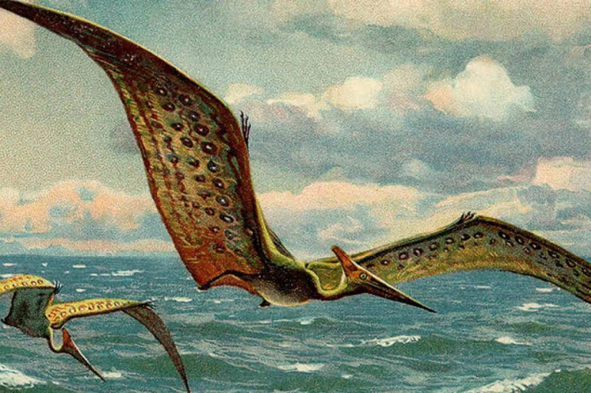 Teruzor yavruları uçabilecek kadar güçlü doğuyordu