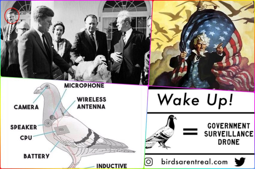 Yaygınlaşan yeni komplo teorisi: Robot Kuşlar