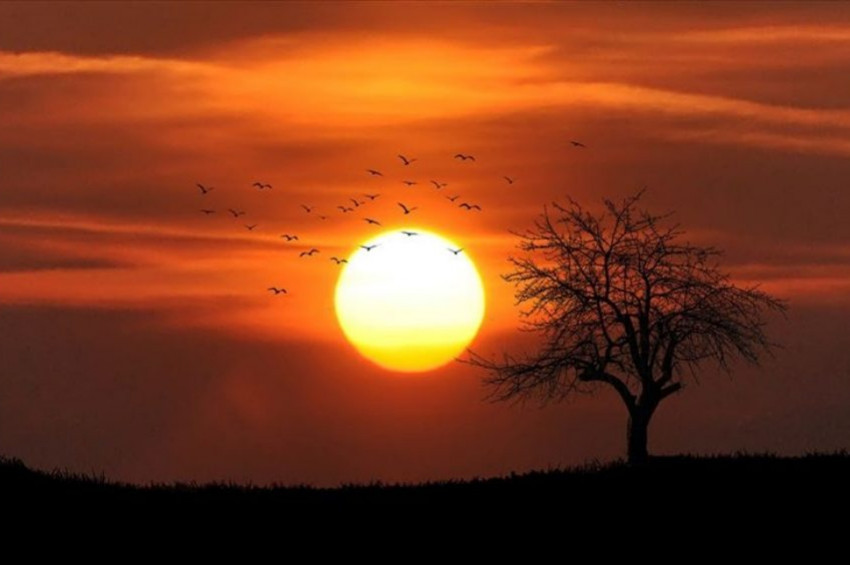 Tunusta hava sıcaklığı  50 dereceyi geçti