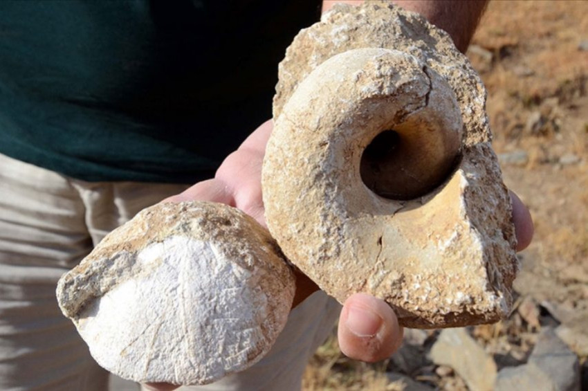 Muşta 35 milyon yıllık yeni fosiller bulundu