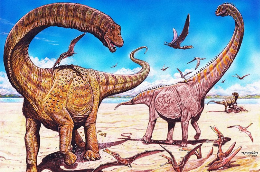 Çinde 2 Yeni Dinozor Türü Keşfedildi