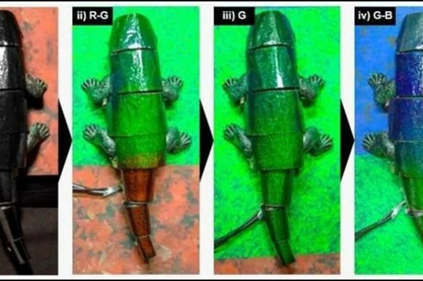 Renk değiştiren bukalemun robot