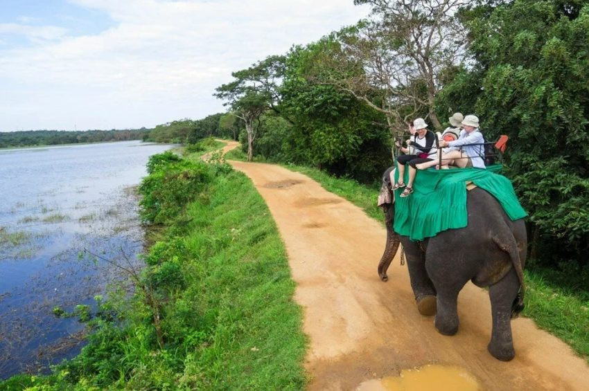 Filleri 4 saatten fazla çalıştıran Sri Lankalılar ceza alacak