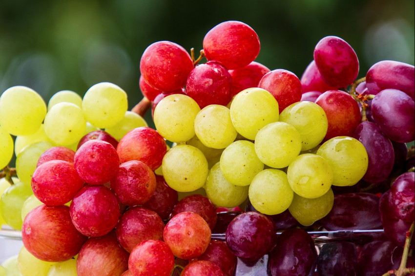 Üzüm yemenin sağlığa 8 önemli faydası