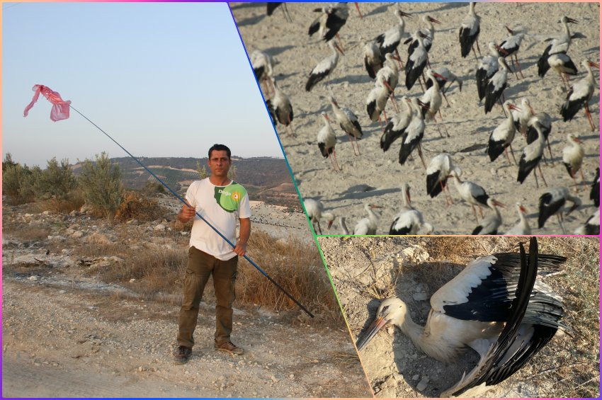 Mersinliler leylek nöbetinde!