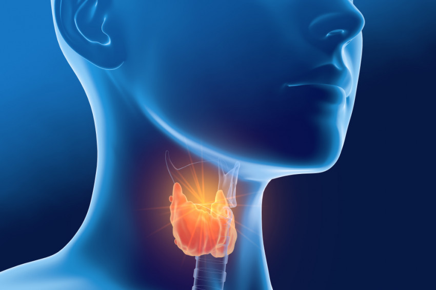 Tiroit bezinin normalden az ve çok çalışmasının zararları