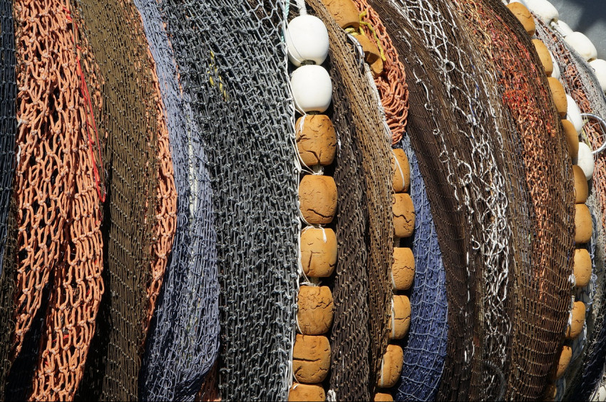 Tarım ve Orman Bakanlığından balıkçılara tavsiyeler