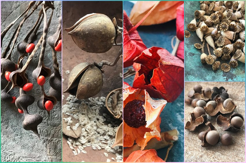 Lalehan Uysal’ın tohum fotoğrafları Yapı Kredi bomontiadada