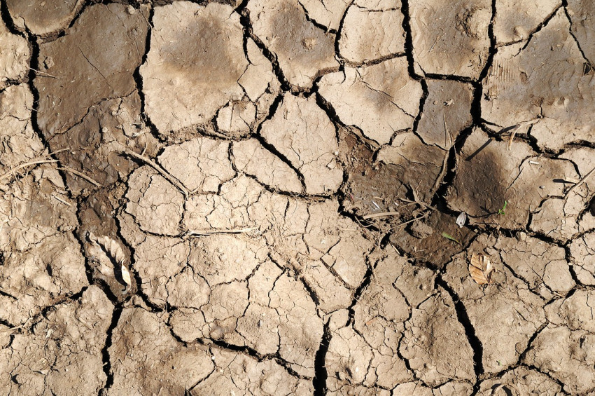 Küresel ısınma ve su savaşları