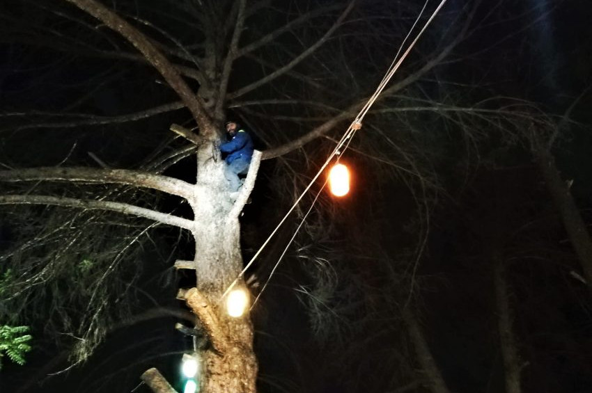 Yamaç paraşütü yaparken ağaçta mahsur kaldı