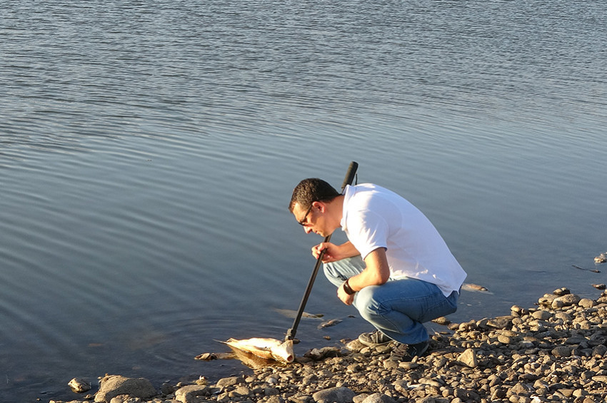 Vanda ölen balıkların katili kuraklık ve algler