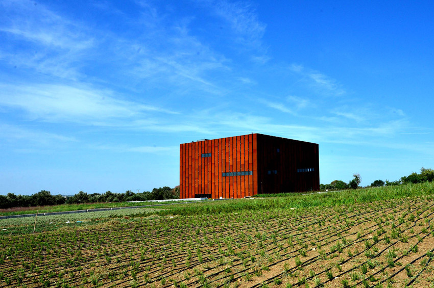 Avrupa Müze Akademisi Özel Ödülü Troya Müzesine verildi