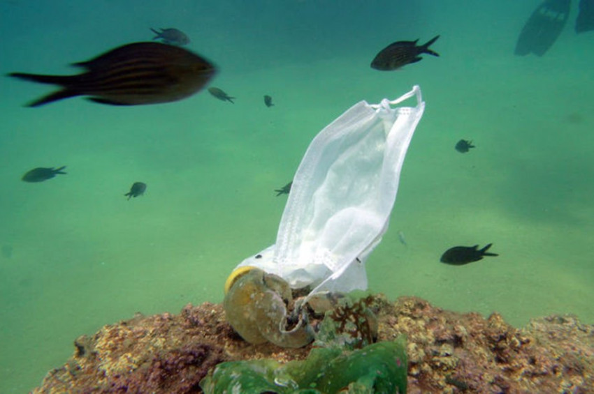 Deniz tabanı maske ve eldiven dolu