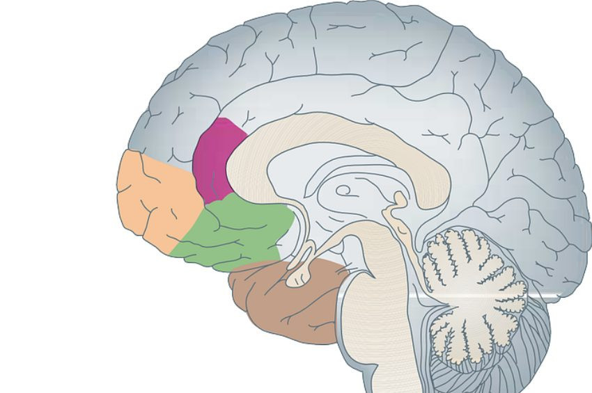 Akromegali: Aşırı derecede büyüme hastalığı