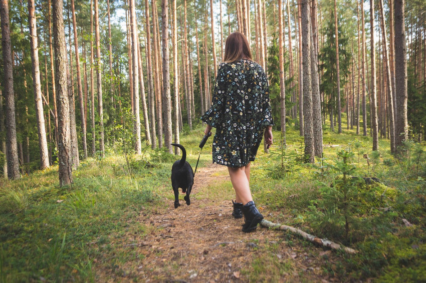 Her gün 7 bin adım, erken ölüm riskini yüzde 66 azaltıyor