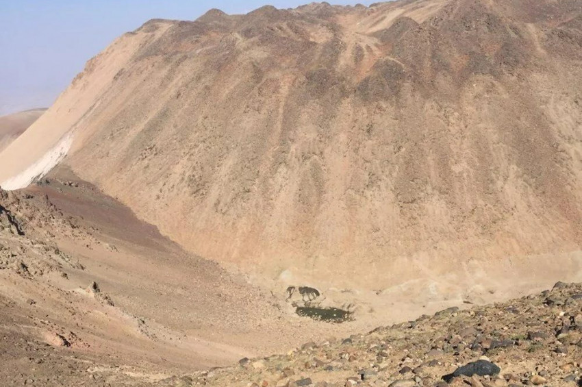Süphan Dağının krater gölleri kurudu