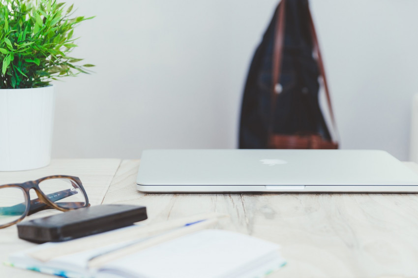 Ofis ve çalışma odalarında bitki bulundurmanın 5 faydası