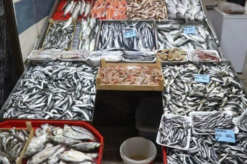 Balık fiyatlarında düşüş bekleniyor