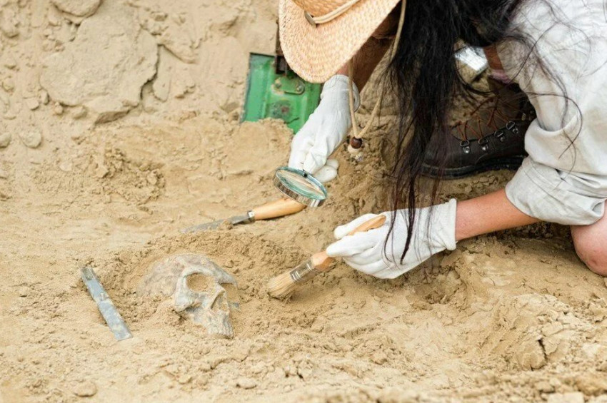 Barcelonada 60 bin yıllık Neandertal kampı bulundu