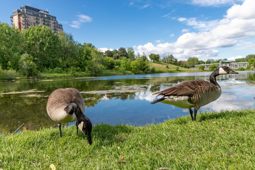 Montreal Protokolü küresel ısınmayı 100 yılda 2,5 derece frenliyor