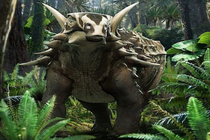 Dinozorların sağır sultanı: Ankilozor