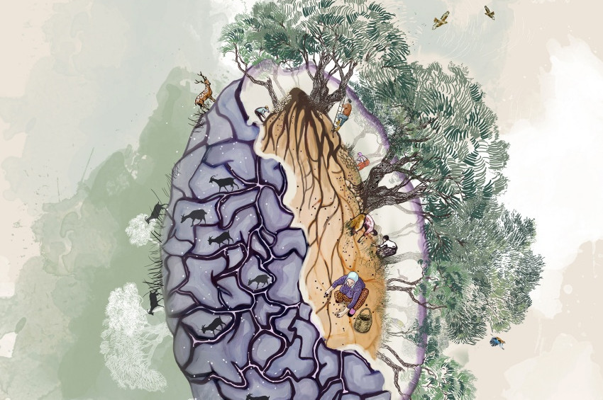 Doğanın Özü sergisi İzmir Ahmed Adnan Saygun Sergi Salonu’nda