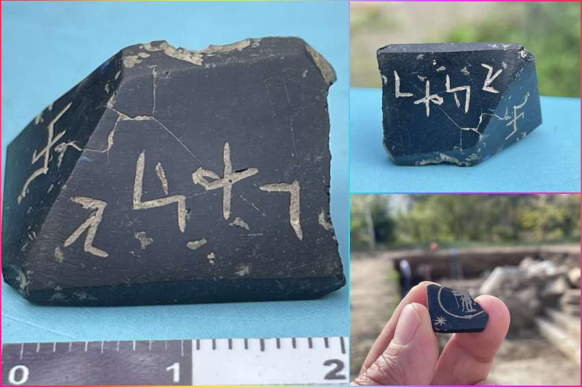 Bartında benzersiz bir piramidal Mısır muskası bulundu