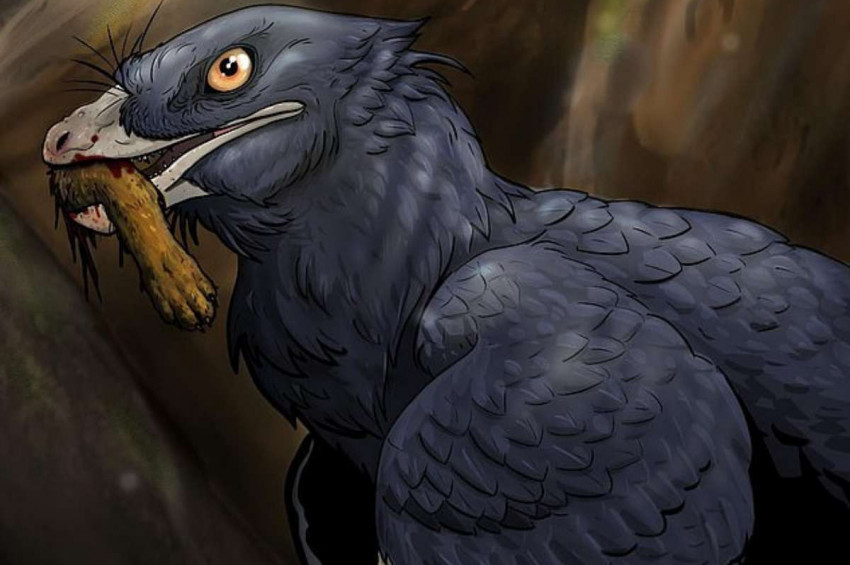 Fosilleşmiş 120 milyon yıllık avcıyı öldüren av sahnesi