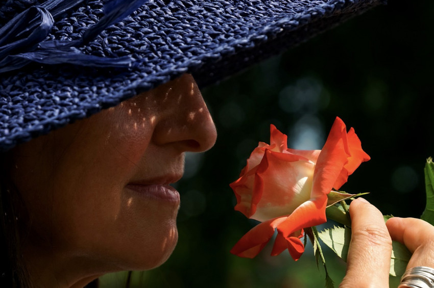 Koku körlüğü nedir, koklama duyusu nasıl korunabilir?