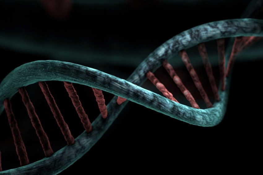 2 milyon yıllık DNA bulundu