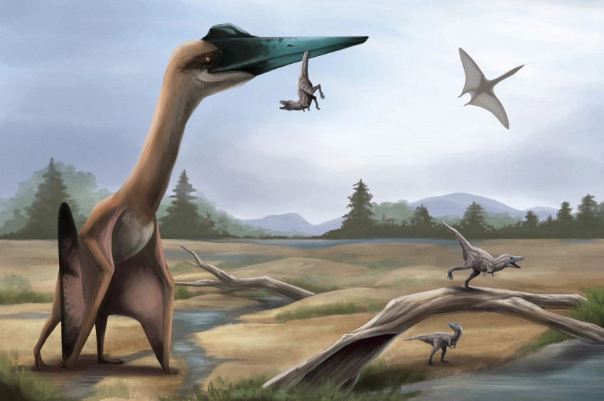 Uçan en büyük hayvan: Quetzalcoatlus Northropi