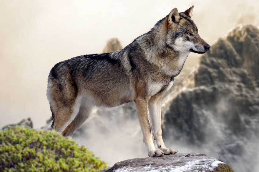 Çinliler Ergenekon Destanını değiştirdi iddiası