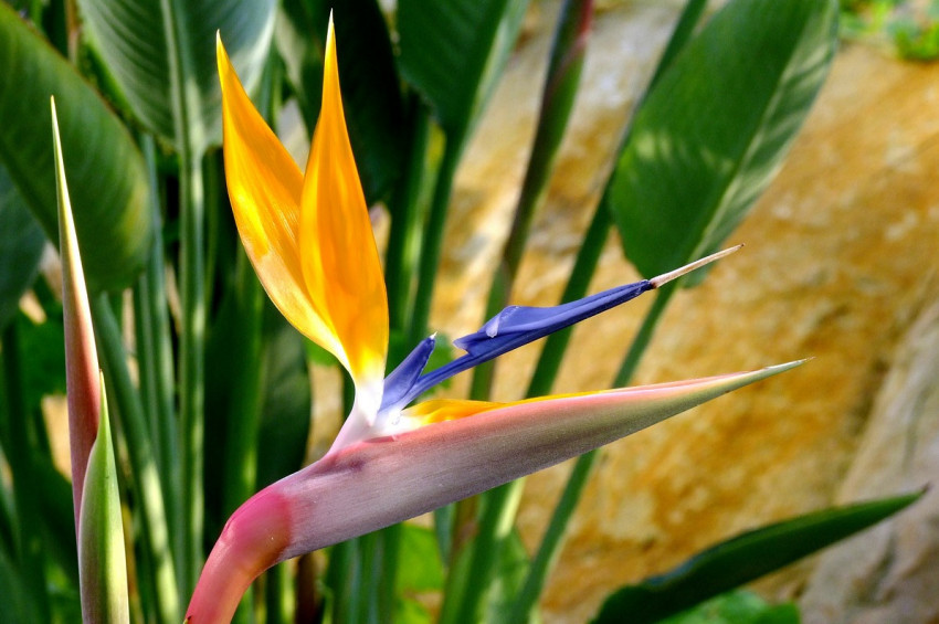 İlkbaharda dinç kalmanın 10 püf noktası