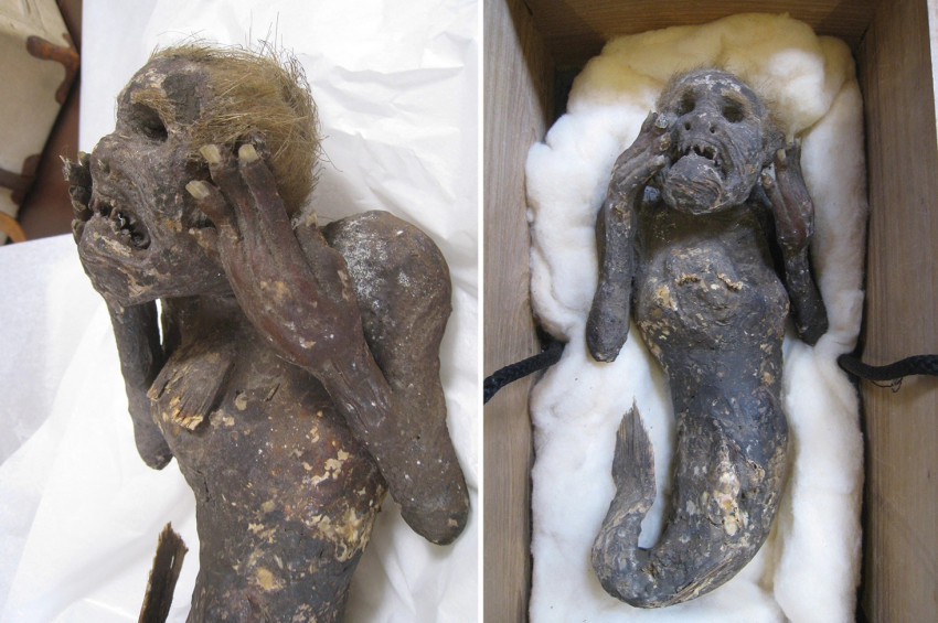 Deniz Kızı Mumyası ne kadar gerçek