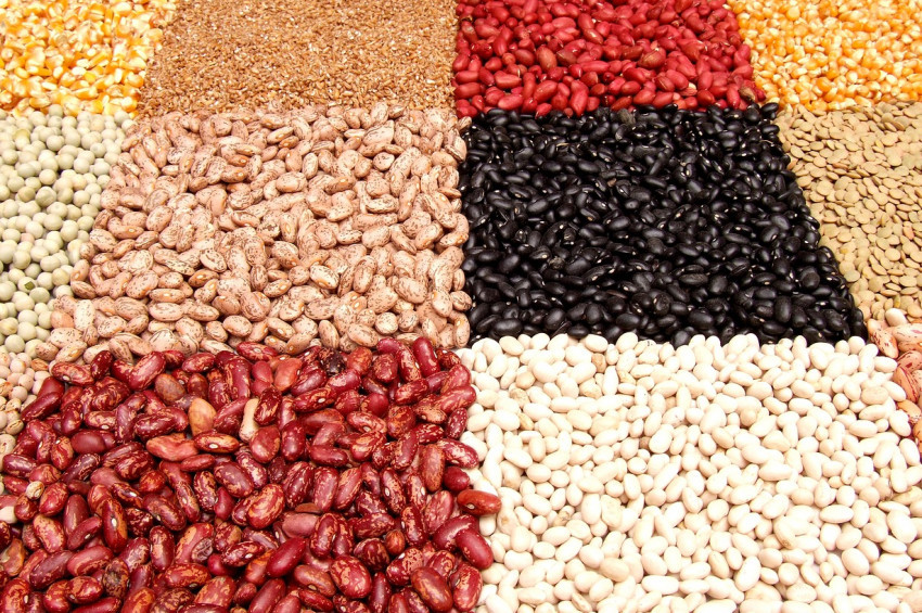 Kuru fasulyenin gaz yapması nasıl önlenir?