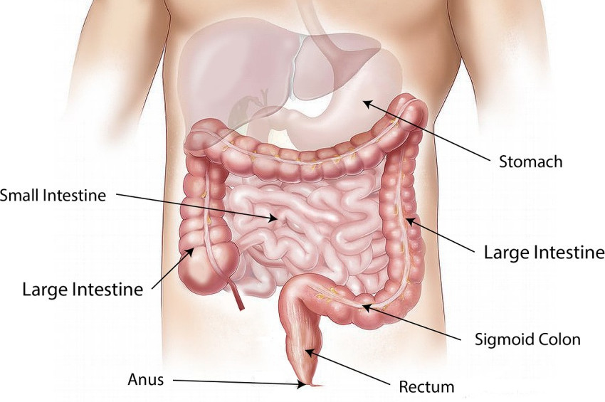 Kanser riskini artıran bazı faktörler