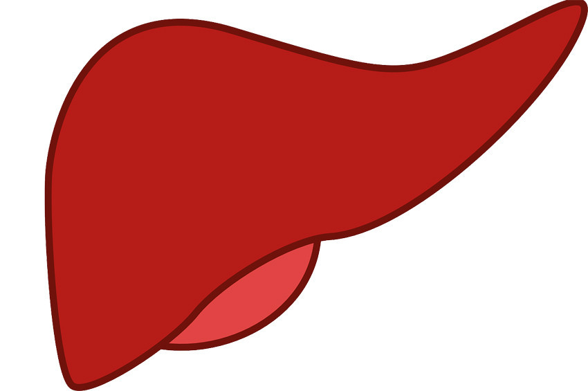 İnsanoğlunun gelecekteki yeni kabusu: NASH