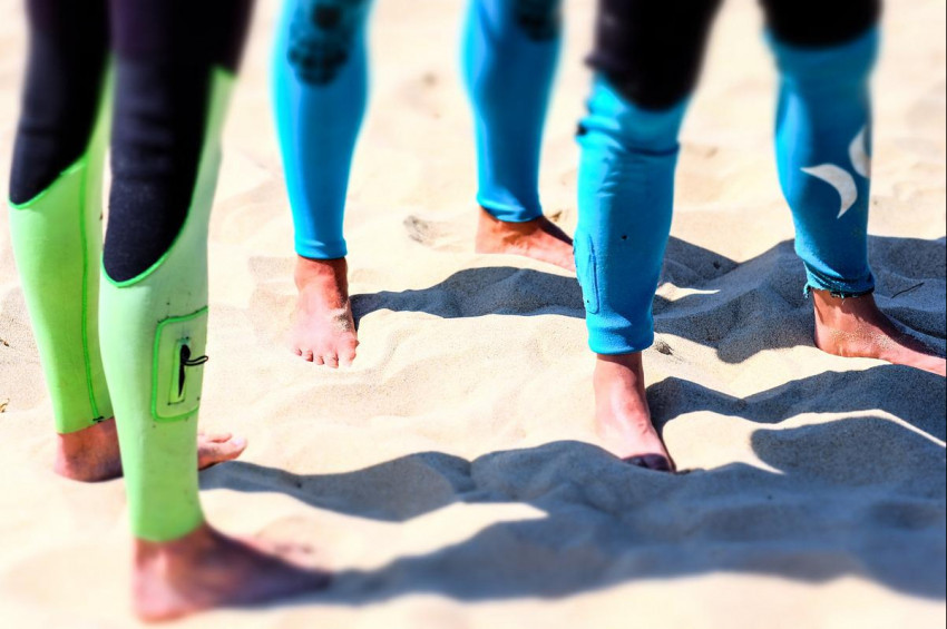 Varis konusunda bilinmesi gereken 6 gerçek