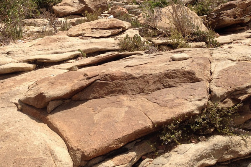 Somali kuraklığa karşı acil yardım istiyor