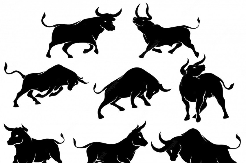 Corraleja boğa güreşi festivalinde tribün faciası