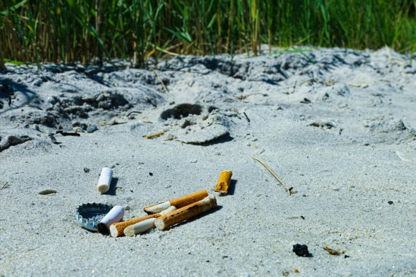 Tütün ürünleri çevre ve insan sağlığına ne kadar veriyor?