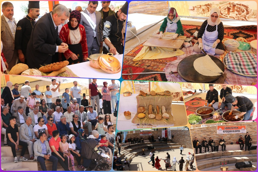 Şanlıurfada Buğday Şenliği yapıldı