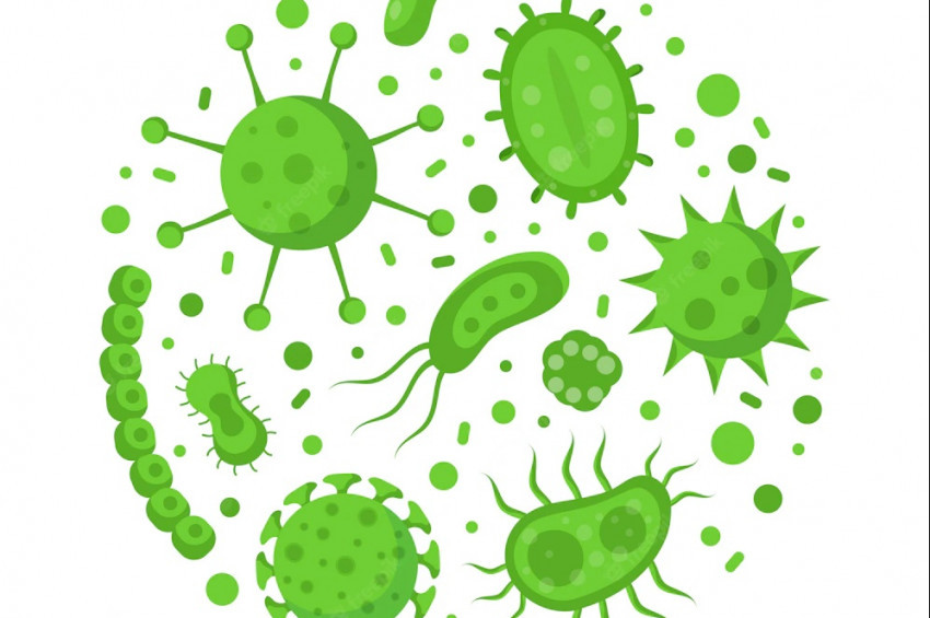 Norovirüs hakkında bilinmesi gerekenler