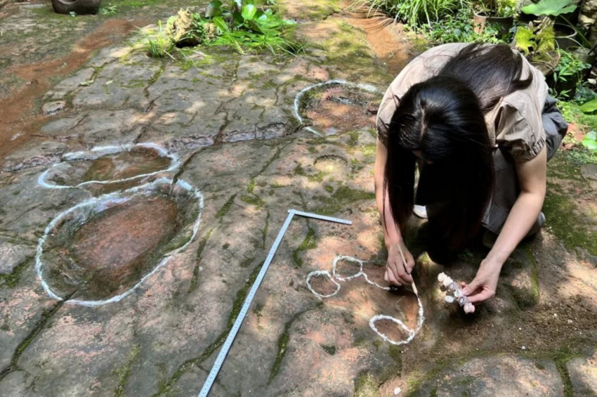 Çinde bir restoranda 100 milyon yıllık dinozor izi bulundu