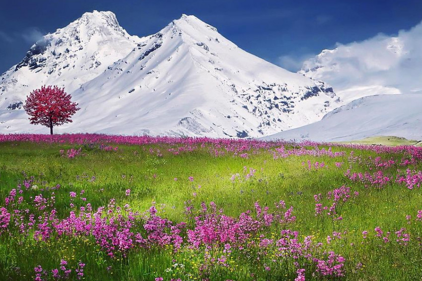 Alp dağlarındaki buzullar 6 yılda yüzde 12 eridiİ