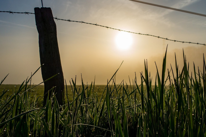 Temmuz ayında en çok ve en az yağmur yağan iller