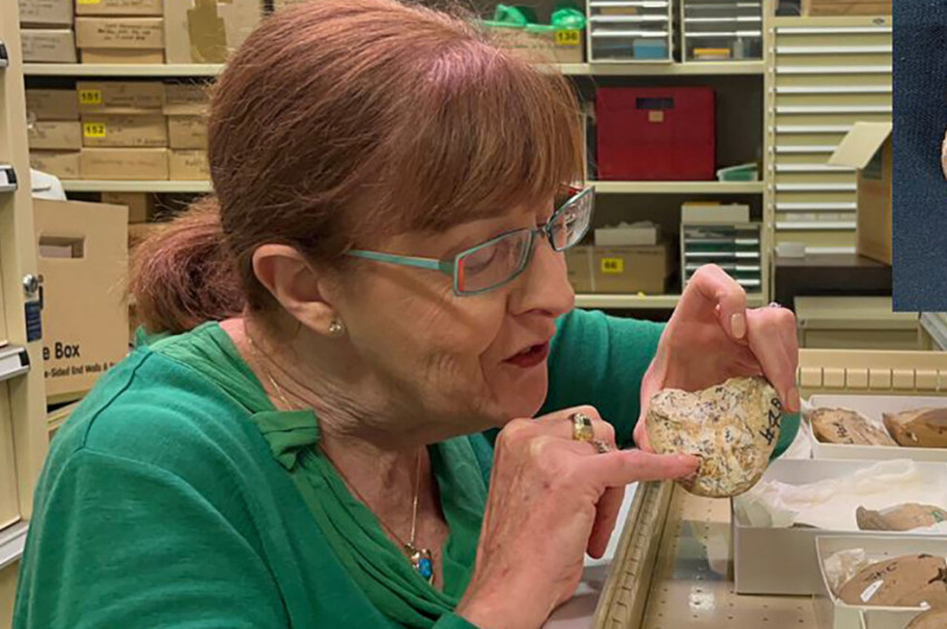 380 milyon yıllık balık kalbi bulundu