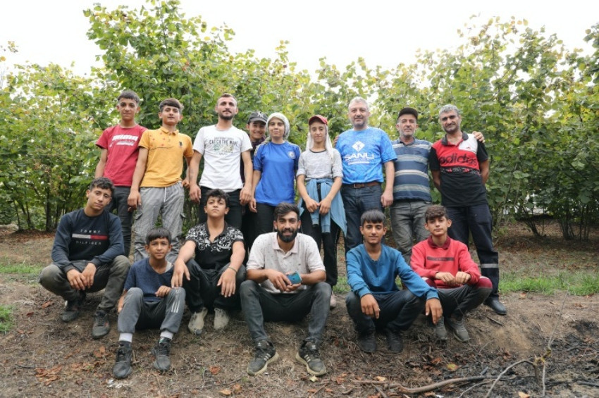 Üniversite öğrencileri yazın fındık mesaisinde