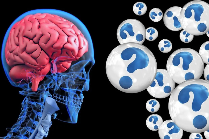 Beynin iki yarısının birbirine eşit olmadığı ortaya çıktı