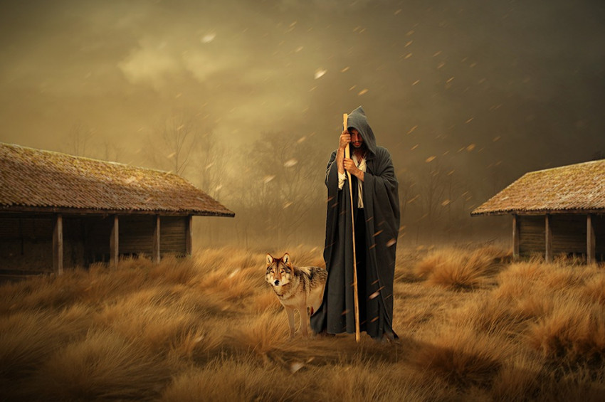 Kurtların insanlara bağlanabileceği tespit edildi